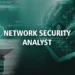 Network Security Analyst