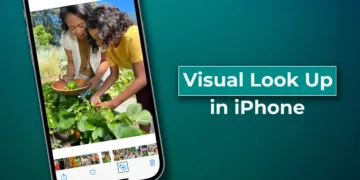 Feature Image - Visual Lookup