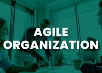 Feature Image of Agile Organization