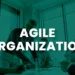 Feature Image of Agile Organization