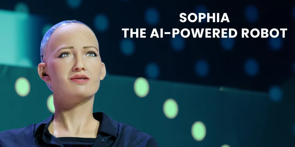 Feature Image of Sophia